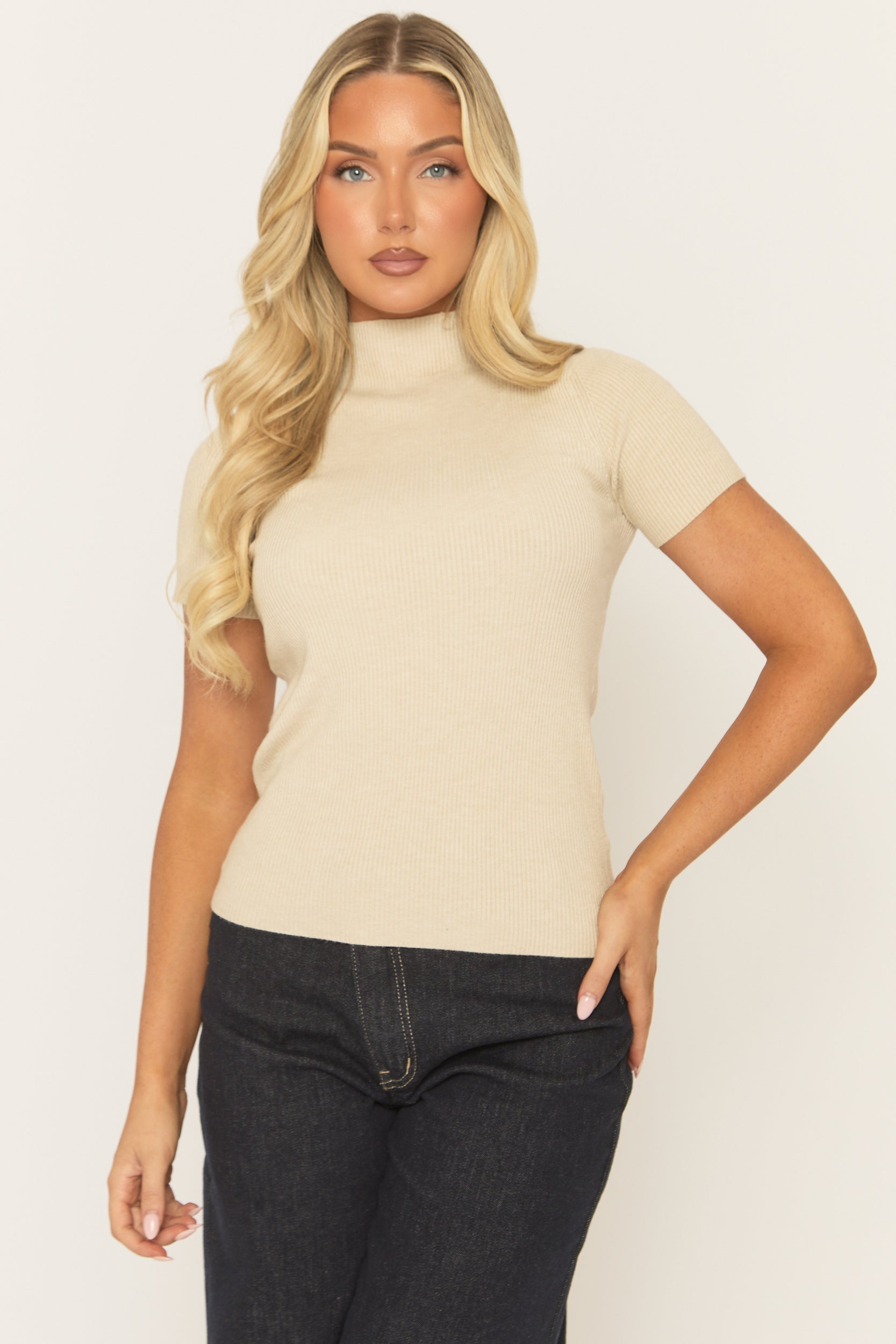 Beige Fine Knit High Neck Top - Jayca